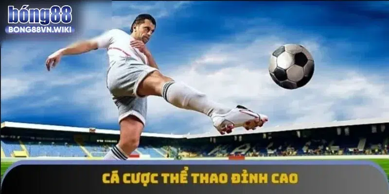Sàn cược thể thao đỉnh cao với kho kèo chơi cực chất.
